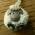 Avatar de Utilisateur44774 sur Proteinaute