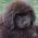 Avatar de fbpi sur Proteinaute