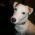 Avatar de delphine78 sur Proteinaute