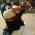Avatar de leggy2 sur Proteinaute