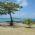 Avatar de Nounoun33 sur Proteinaute