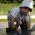 Avatar de Natho25110 sur Proteinaute