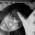 Avatar de dashgirl sur Proteinaute
