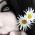 Avatar de sayann sur Proteinaute