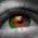Avatar de maddy59 sur Proteinaute