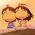 Avatar de s0nia sur Proteinaute