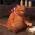 Avatar de cathy44310 sur Proteinaute
