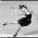 Avatar de elydc sur Proteinaute