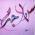 Avatar de jessica33 sur Proteinaute
