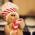 Avatar de mindy sur Proteinaute