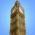 Avatar de bigben sur Proteinaute