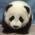 Avatar de ptitpanda sur Proteinaute