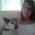 Avatar de althea sur Proteinaute