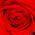 Avatar de mamiemag sur Proteinaute
