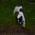 Avatar de angell sur Proteinaute