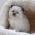Avatar de cannelle64 sur Proteinaute