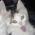 Avatar de catinette sur Proteinaute