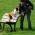 Avatar de valerie81 sur Proteinaute