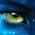 Avatar de jaimelechocolat2601 sur Proteinaute