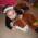 Avatar de audily62950 sur Proteinaute