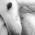 Avatar de Caroline14 sur Proteinaute