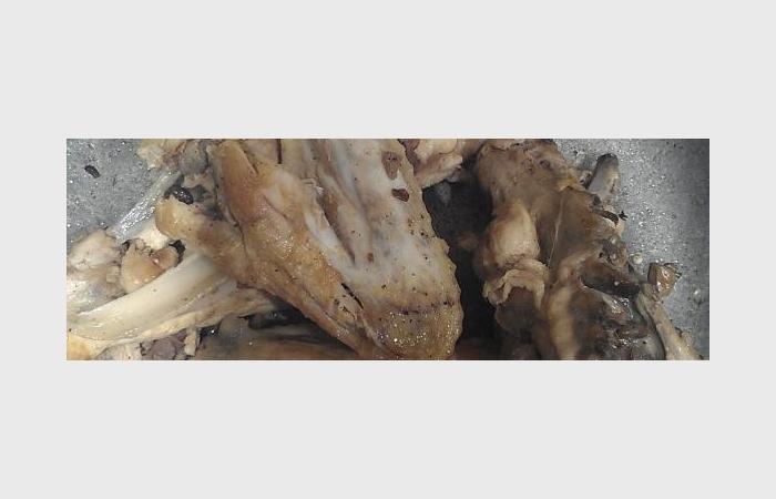 Régime Dukan (recette minceur) : Poulet au champignon #dukan https://www.proteinaute.com/recette-poulet-au-champignon-10081.html