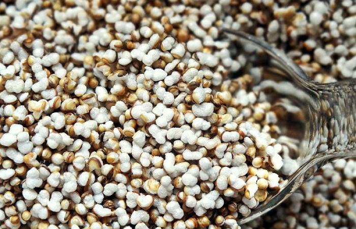 Régime Dukan (recette minceur) : Pop corn d'amarante (amarante soufflé) #dukan https://www.proteinaute.com/recette-pop-corn-d-amarante-amarante-souffle-10719.html