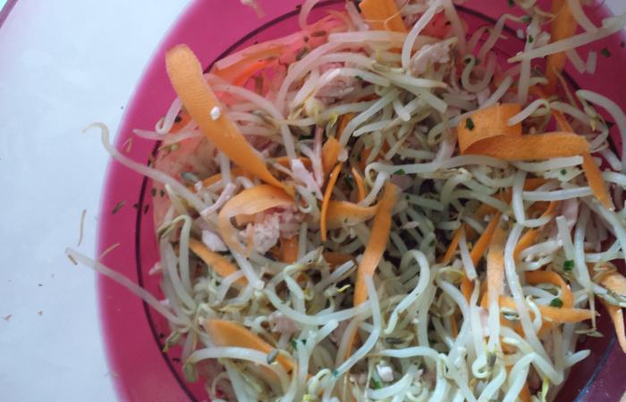 Rgime Dukan (recette minceur) : Salade aux germes de soja et jambon #dukan https://www.proteinaute.com/recette-salade-aux-germes-de-soja-et-jambon-11116.html