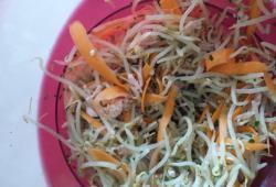 Recette Dukan : Salade aux germes de soja et jambon