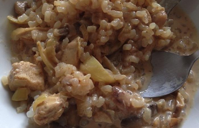Rgime Dukan (recette minceur) : Risotto poulet fromage #dukan https://www.proteinaute.com/recette-risotto-poulet-fromage-11443.html