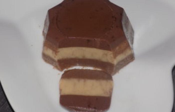 Régime Dukan (recette minceur) : Pana cotta choco café #dukan https://www.proteinaute.com/recette-pana-cotta-choco-cafe-13100.html