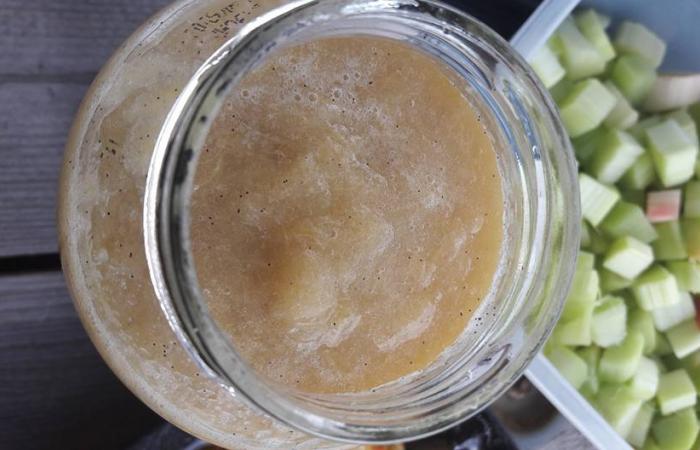 R�gime Dukan (recette minceur) : Compote Rhubarbe-Vanille au cook�o #dukan https://www.proteinaute.com/recette-compote-rhubarbe-vanille-au-cookeo-13825.html