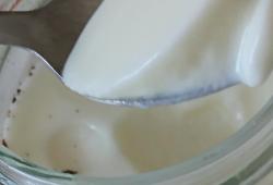 Recette Dukan : Yaourt  la vanille saveur coco 