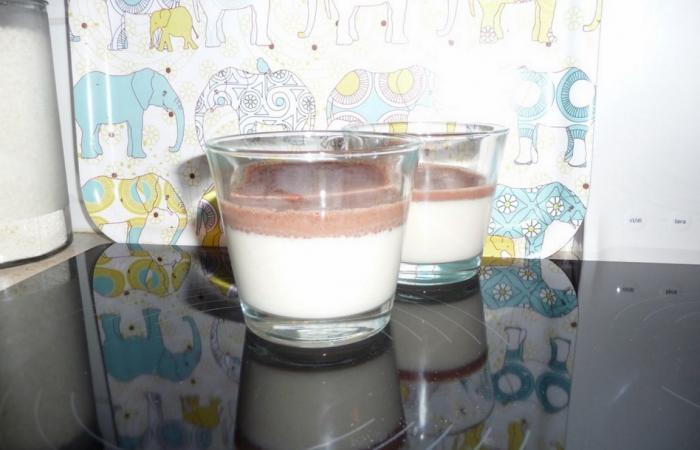 Régime Dukan (recette minceur) : Duo de Bioflan #dukan https://www.proteinaute.com/recette-duo-de-bioflan-1829.html