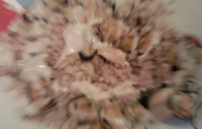 R�gime Dukan (recette minceur) : M�li m�lo de la mer avec sa sauce yaourt #dukan https://www.proteinaute.com/recette-meli-melo-de-la-mer-avec-sa-sauce-yaourt-2493.html