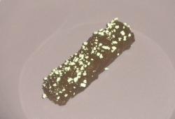 Recette Dukan : Barre chocolatée