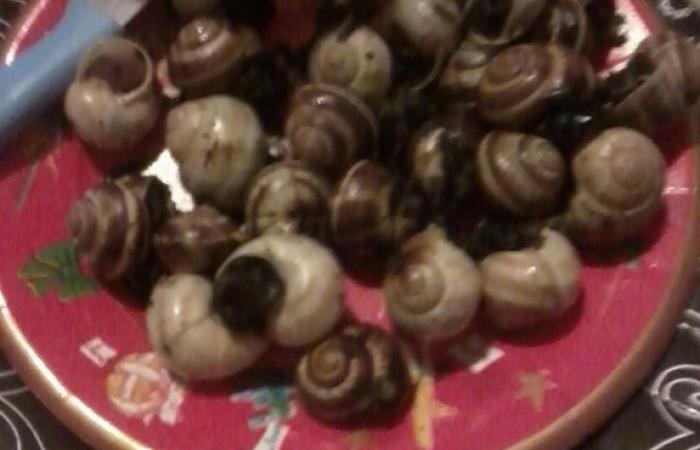 R�gime Dukan (recette minceur) : Beurre d'escargot #dukan https://www.proteinaute.com/recette-beurre-d-escargot-3221.html