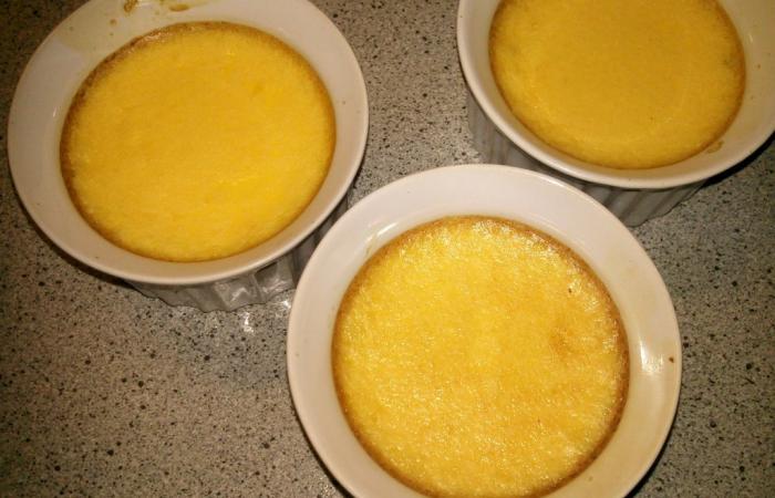 Régime Dukan (recette minceur) : Crème brûlée sans caramel #dukan https://www.proteinaute.com/recette-creme-brulee-sans-caramel-3429.html