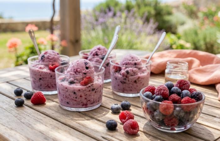 Régime Dukan (recette minceur) : Glace aux fruits rouges au yaourt #dukan https://www.proteinaute.com/recette-glace-aux-fruits-rouges-au-yaourt-344.html