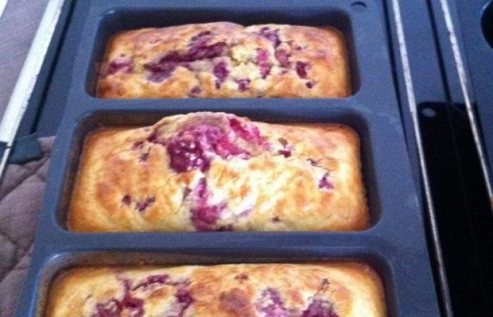 Rgime Dukan (recette minceur) : Gateau/Cake Framboise trop mortel #dukan https://www.proteinaute.com/recette-gateau-cake-framboise-trop-mortel-3573.html