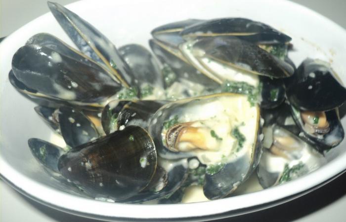 Régime Dukan (recette minceur) : Moules à la crème #dukan https://www.proteinaute.com/recette-moules-a-la-creme-3861.html