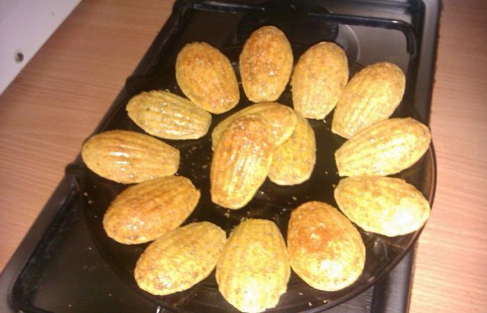 Madeleine de Ppoussinette