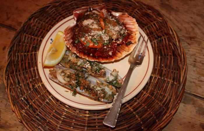 Régime Dukan (recette minceur) : Duo de St Jacques et couteaux gratinés #dukan https://www.proteinaute.com/recette-duo-de-st-jacques-et-couteaux-gratines-4063.html