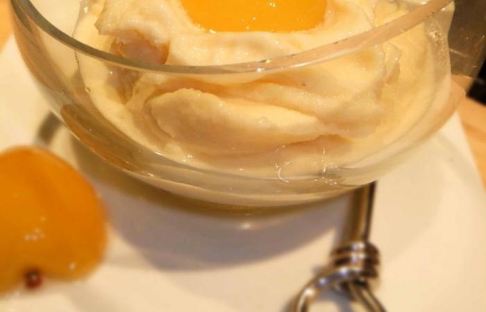 Rgime Dukan (recette minceur) : Glace  l'abricot #dukan https://www.proteinaute.com/recette-glace-a-l-abricot-4695.html