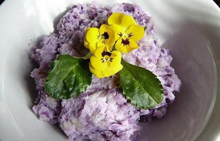 Régime Dukan (recette minceur) : Ecrasée de vitelotte au chou rave et carré frais #dukan https://www.proteinaute.com/recette-ecrasee-de-vitelotte-au-chou-rave-et-carre-frais-5267.html