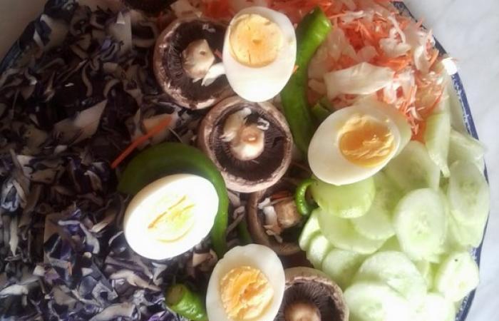 Régime Dukan (recette minceur) : Salade colorée #dukan https://www.proteinaute.com/recette-salade-coloree-5427.html