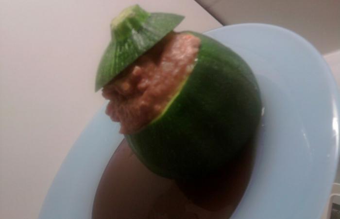 R�gime Dukan (recette minceur) : Courgette farcie fa�on chaud-froid #dukan https://www.proteinaute.com/recette-courgette-farcie-facon-chaud-froid-5564.html