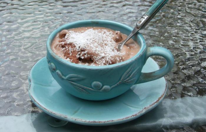 Régime Dukan (recette minceur) : Crème glacée chocolat anti craquage #dukan https://www.proteinaute.com/recette-creme-glacee-chocolat-anti-craquage-5572.html