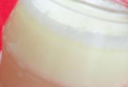 Recette Dukan : Blanc-manger et sa compote de rhubarbe