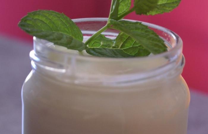 Régime Dukan (recette minceur) : Yaourts à la menthe fraîche #dukan https://www.proteinaute.com/recette-yaourts-a-la-menthe-fraiche-6031.html